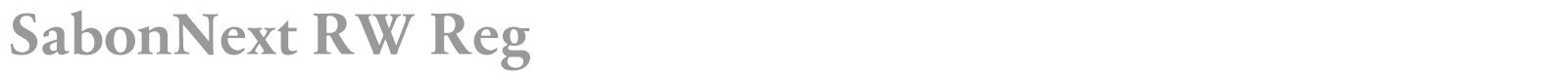 SabonNext RW Reg font preview